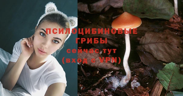 a pvp Лагань