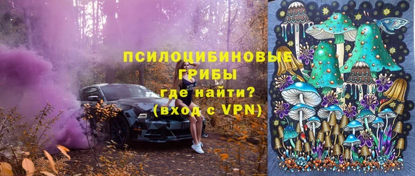 mix Лабытнанги